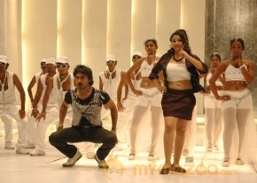 Kodandarami Reddy's Kasko-Gallery photo 29