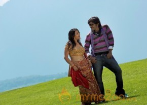 Kodandarami Reddy's Kasko-Gallery photo 17