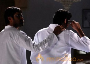 Leader Exclusive Photo Gallery photo 13