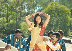 Maharajasri Gaaligadu Movie Hot Stills  photo 41