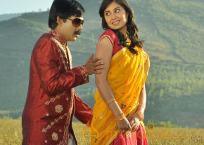 Maharajasri Gaaligadu Movie Hot Stills  photo 13