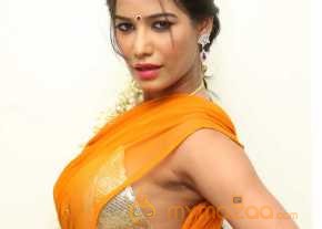 Malini And Co photo 7