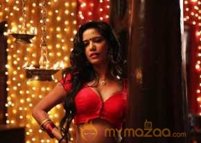 Malini And Co photo 8