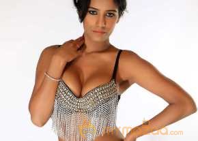 Malini And Co photo 15