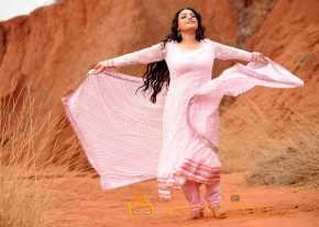 Malli Malli Idi Rani Roju photo 6