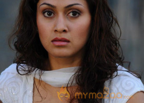 Manajari Latest stills  photo 26