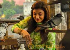 Mass photo 7