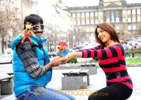 Mirapakai Movie Stills photo 8