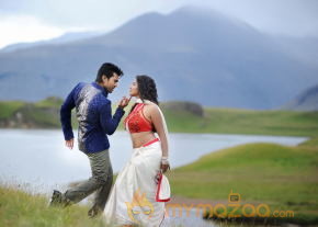 Naayak Movie Latest Gallery  photo 9