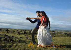 Naayak Movie Latest Gallery  photo 28