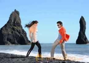 Naayak Movie Latest Gallery  photo 53