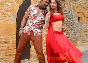 Nagarjuna Karthi Oopiri Telugu Movie Stills photo 9