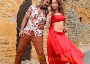 Nagarjuna Karthi starrer Oopiri new hd photos photo 3