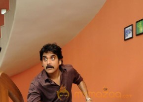 Nagarjuna's New Movie Photos photo 12