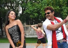 Namo Venkatesa Photo gallery photo 17