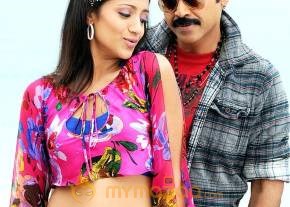 Namo Venkatesa Photo gallery photo 21
