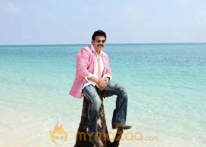 Namo Venkatesa Photo gallery photo 49
