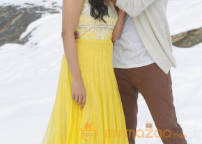 New Telugu Film Soukyam Telugu Movie Stills photo 11