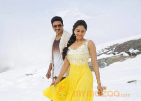 New Telugu Film Soukyam Telugu Movie Stills photo 2