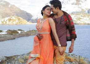 New Telugu Film Soukyam Telugu Movie Stills photo 9