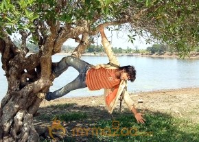 Ninnu Chusina Shanana Movie Stills photo 5