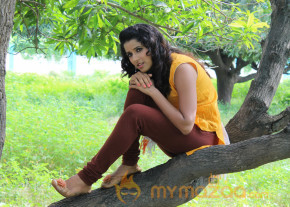 NRI Movie Stills  photo 48