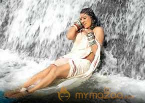 O Malli photo 9