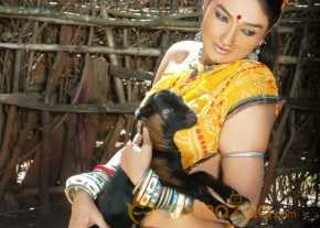 O Malli photo 11