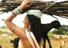 O Malli photo 8