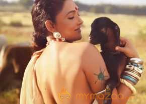 O Malli photo 15