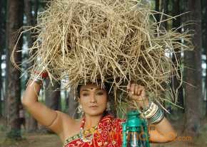 O Malli photo 10