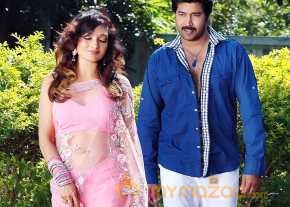 O Malli photo 12