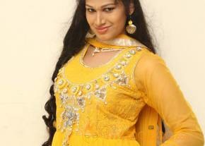 Okkaditho Modhalaindhi Movie Press Meet Stills photo 5