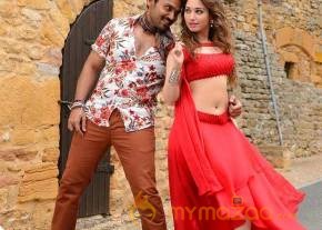 Oopiri Movie Stills photo 3