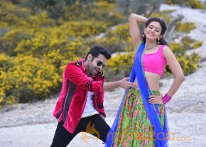 Pandaga Chesko new photo gallery photo 4