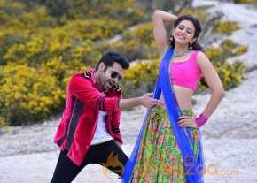 Pandaga Chesko photo 5