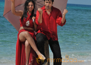 Pelli Pusthakam Movie Stills  photo 32