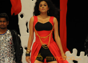 Priyamani Hot Stills in Chandi  photo 11
