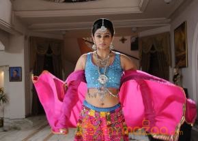 Priyamani In Chandi Movie Stills  photo 3