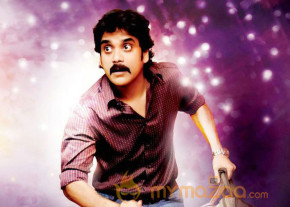 Production No.12-Photo Gallery  photo 22