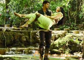 Puli photo 15