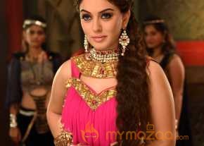Puli photo 4