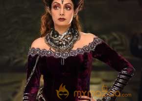 Puli photo 2
