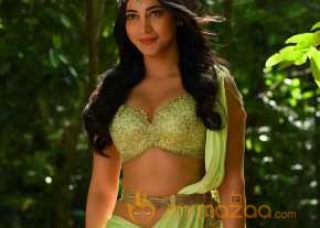 Puli photo 9