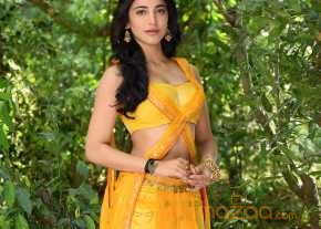 Puli photo 10