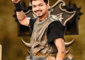 Puli photo 14