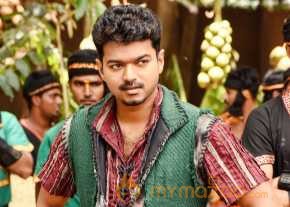 Puli photo 18