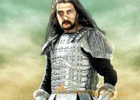 Puli photo 7