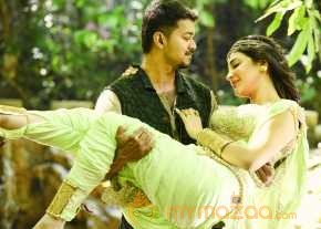 Puli photo 11