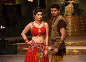 Puli photo 6
